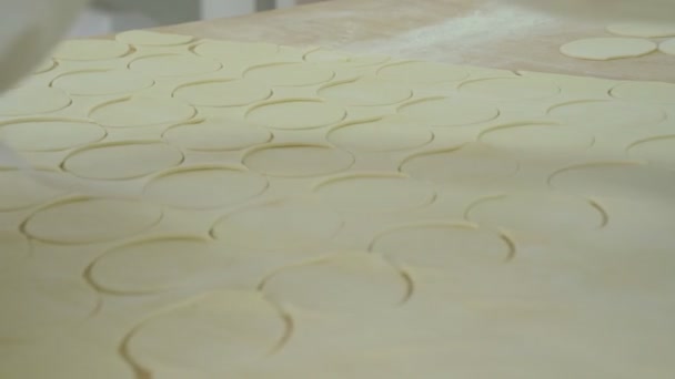 Ручные модельные клецки. Моделирование пельменей на заводе по производству мясных полуфабрикатов — стоковое видео
