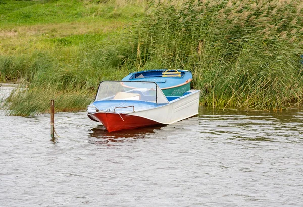 Рыбацкая лодка в тростнике. Одинокая лодка ждет своего хозяина.. — стоковое фото