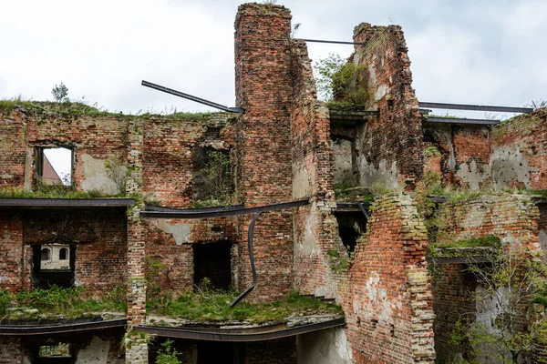 Rovine della Cattedrale di St. Johns nel 1828. Monumento alla difesa della fortezza 1941-1943 durante la seconda guerra mondiale. Fortezza di Oreshek. Fortezza di Shlisselburg vicino a San Pietroburgo, Russia. Fondata — Foto Stock