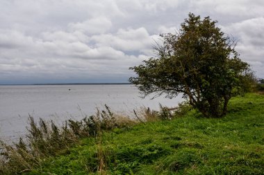 Neva Nehri 'nin kaynağı. Gri ağır bulutlar. Sert Ladoga Gölü.