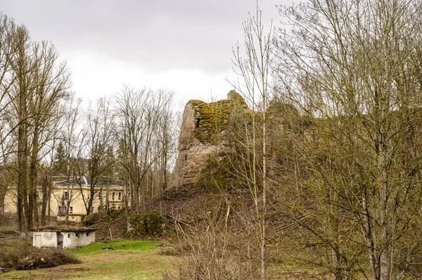 古代の要塞の壁で。要塞の壁イヴァンゴード。イヴァンゴード要塞。ロシア史. — ストック写真