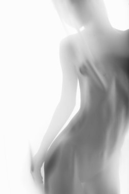 şeffaf kumaş ile güzel bir çıplak kadın