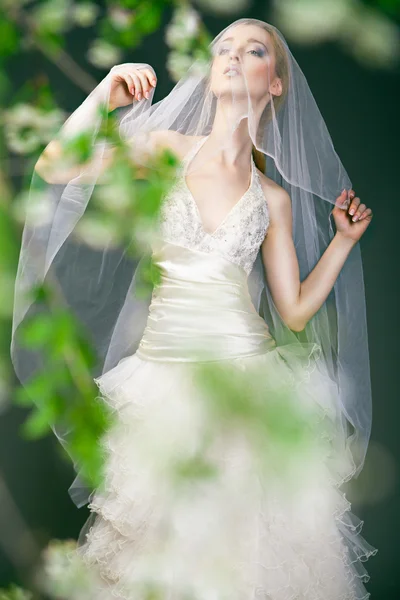 Sposa in abito da sposa dietro cespuglio con fiori — Foto Stock