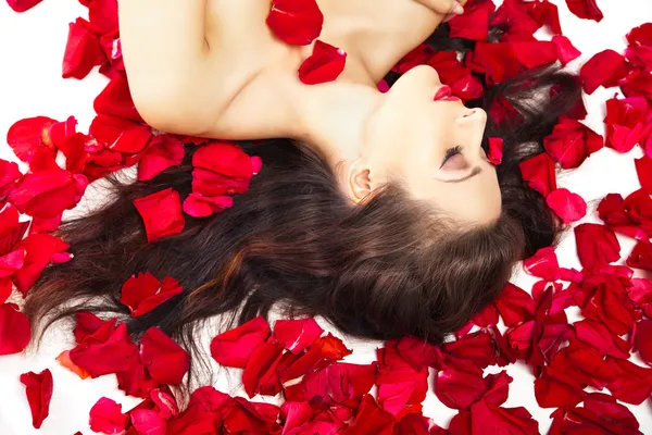 美丽的女人，在白色的红玫瑰的花瓣 图库图片