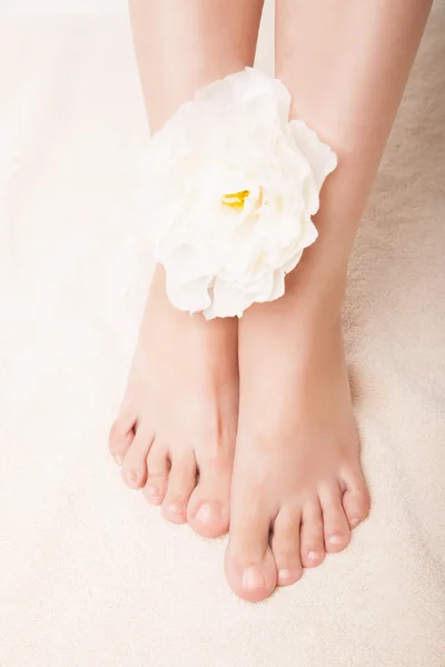 Care for beautiful woman legs — Stock Photo, Image