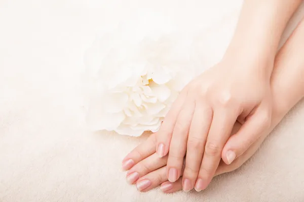 Bela mão com manicure perfeita para unhas — Fotografia de Stock