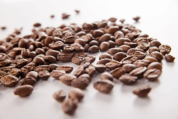 Coffee Bean with white background — Stock Photo, Image