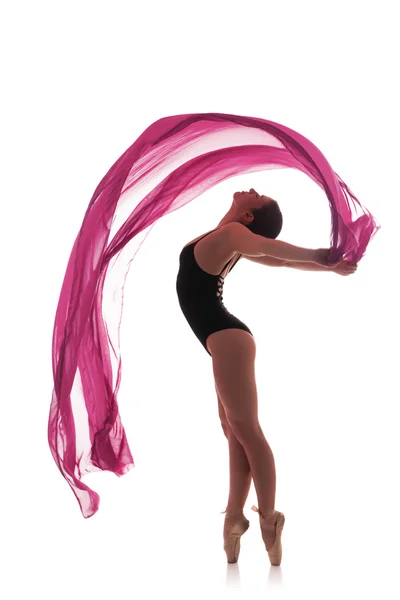 Kadın bale dansçısı siluet — Stok fotoğraf