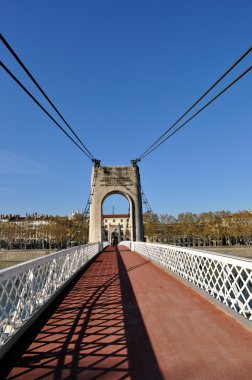 lyon görünümü. Fransa .