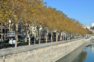 lyon görünümü. Fransa .