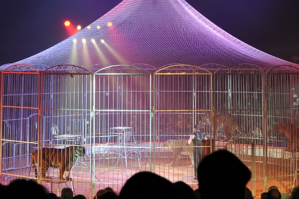 Circus acts . France . — Stock Photo, Image