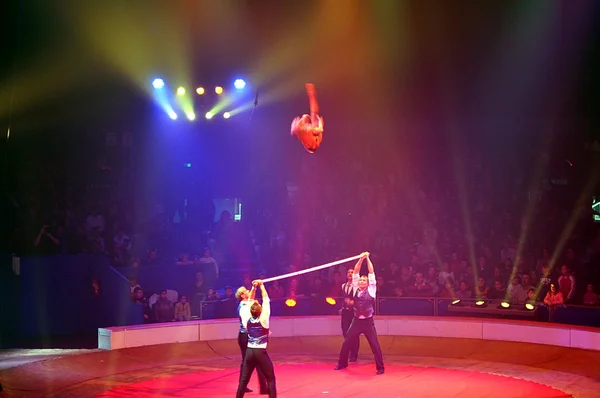 Circo. França 2014. Paris  . — Fotografia de Stock