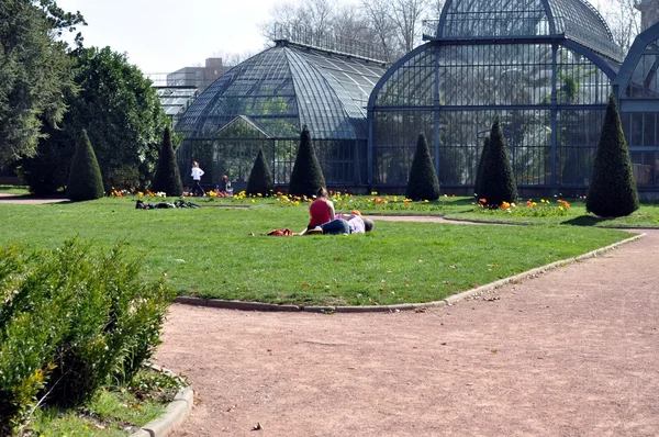 Park in Lyon . France .Spring . — Stock Photo, Image
