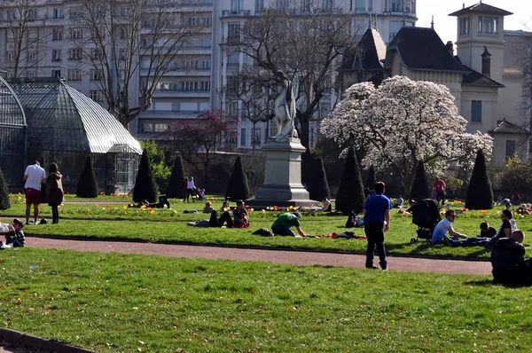 Park in Lyon . France .Spring . — Stock Photo, Image