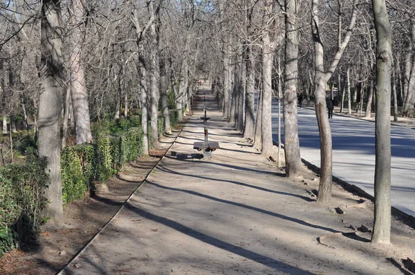 Madrid Espagne Janvier 2022 Parc Retiro — Photo