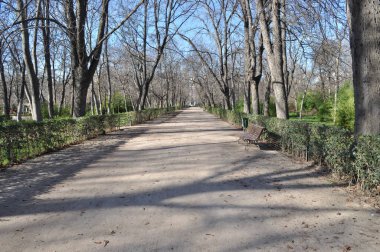 Madrid mi? İspanya. 18 Ocak 2022. El Retiro parkı. .