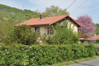 Küçük yeşil bir yerdeki ev. . 