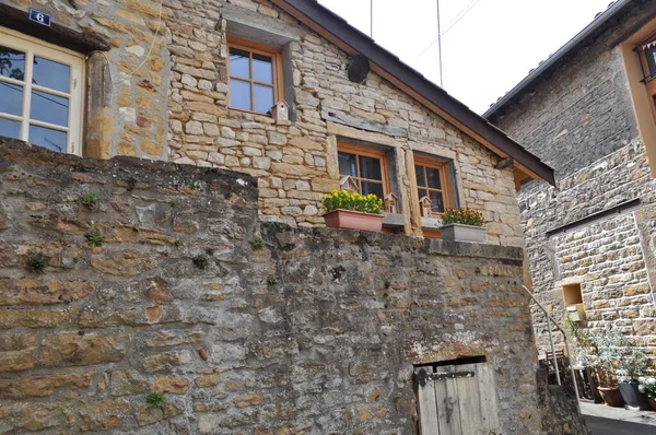 Casa Algún Pequeño Lugar Verde — Foto de Stock