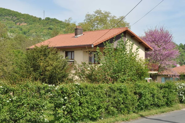 Küçük yeşil bir yerdeki ev. . 