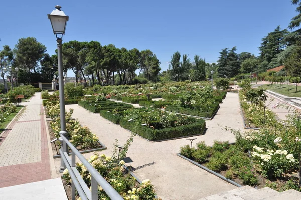 Літньому Парку Мадриді — стокове фото