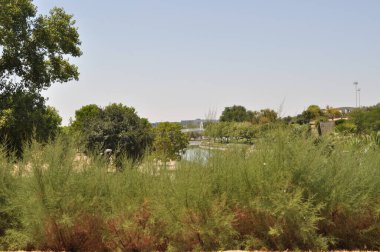 The 6 of August, 2022 . Park Juan Carlos 1 . 