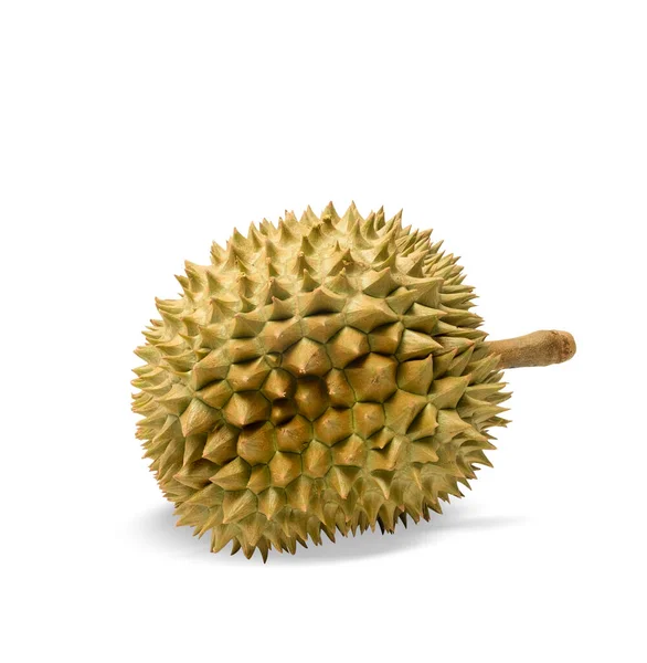 Durian King Fruits Monthong Durian White Background — Stock Photo, Image