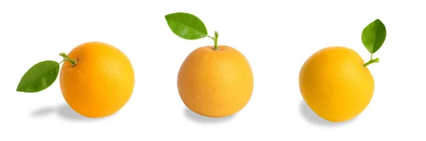 Τρία Πορτοκαλί Φρούτα Πράσινα Φύλλα Που Απομονώνονται Λευκό Φόντο — Φωτογραφία Αρχείου