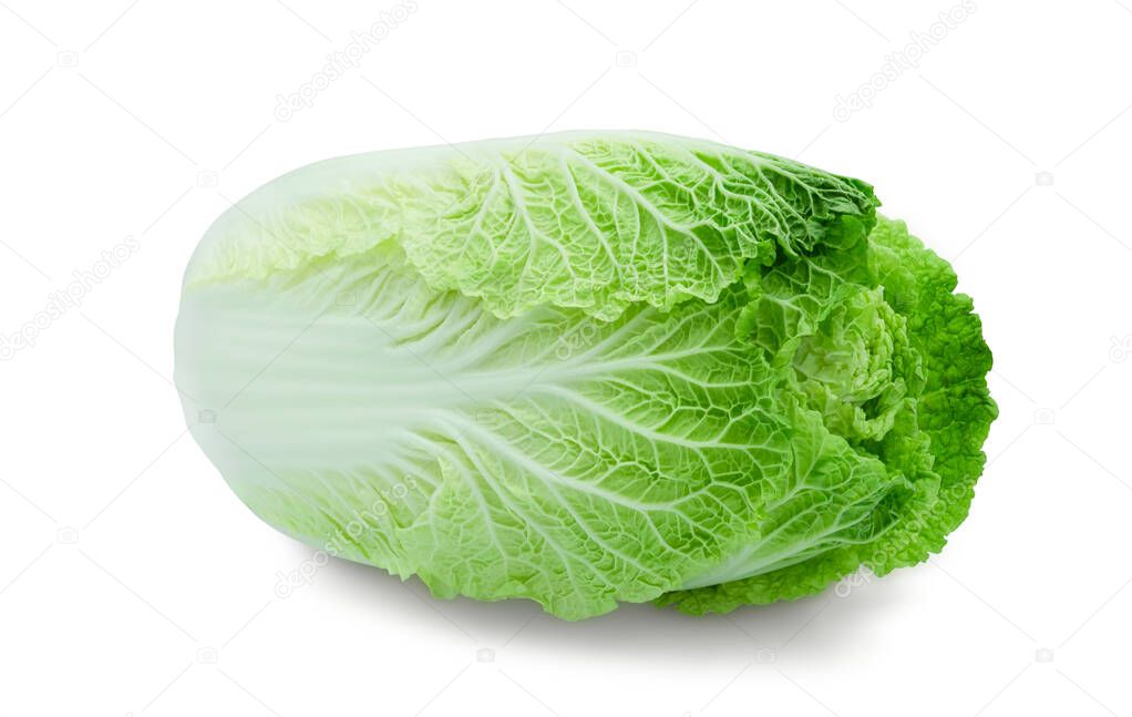 Fresh organic Chinese cabbage on a white background