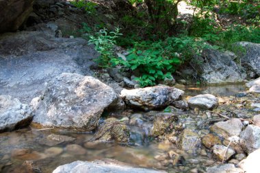Kırım 'da bir yaz günü taşların arasından akan dağ deresi