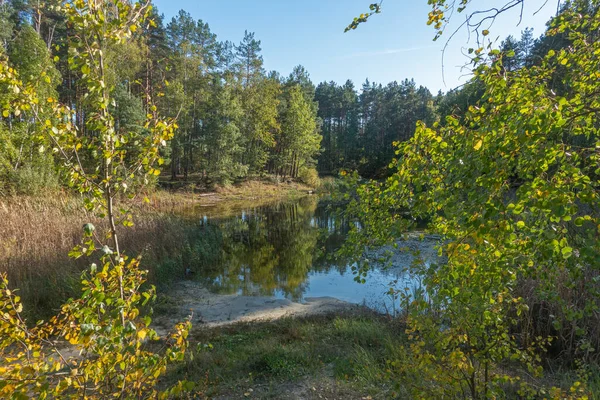 Krajina Lesním Jezerem Slunečného Podzimního Dne — Stock fotografie