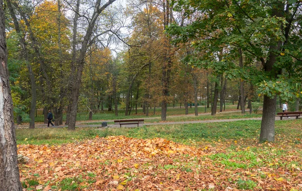 Blick Auf Den Kpi Park Kiew Einem Herbsttag — Stockfoto