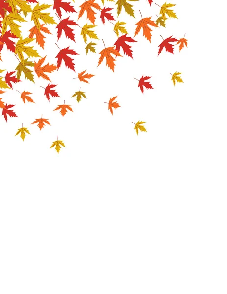 Autumn leaves illustration — Stock Photo, Image