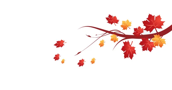 Autumn leaves illustration — Stock Photo, Image