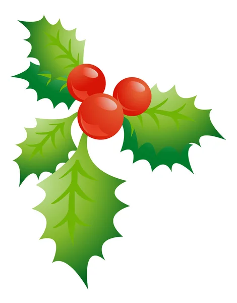 Holly sprig on white background illustration — Stock Photo, Image