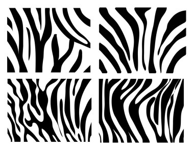 Set of zebra texture Black and White