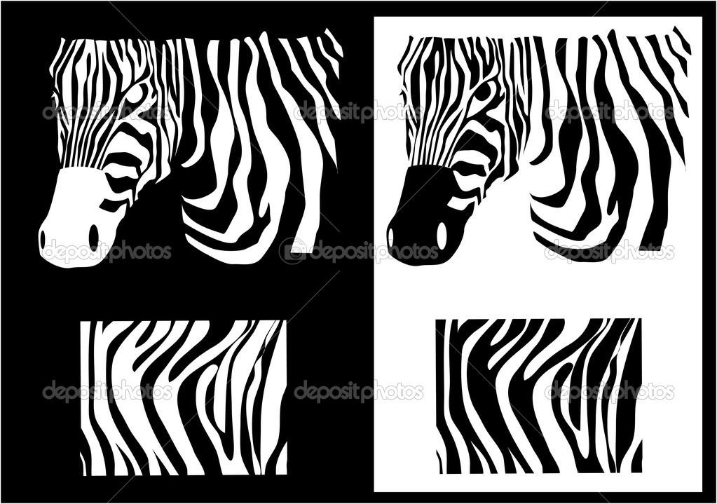  zebra texture Black and White