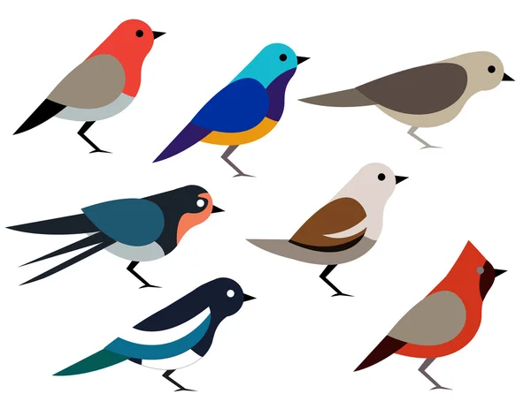 Zbiór różnych ptaków — Zdjęcie stockowe