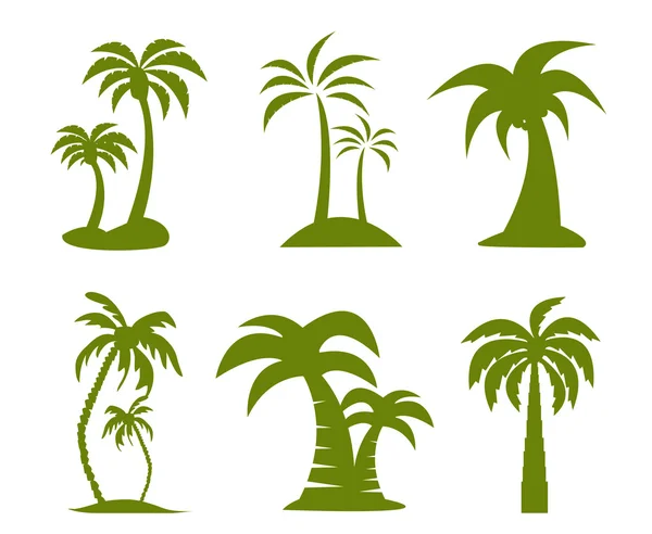 Palm tree image — Stock Photo, Image