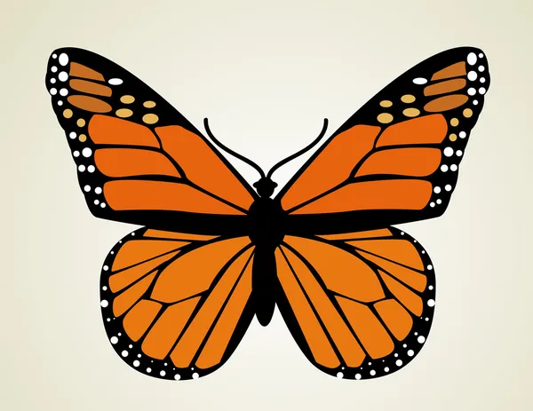 Illustration papillon — Photo