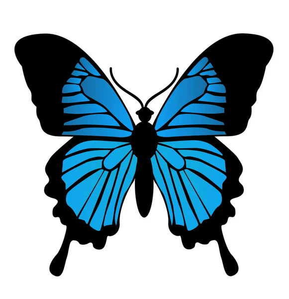 Illustration papillon — Photo