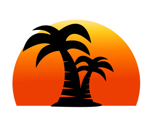 Palm stromu obraz — Stock fotografie