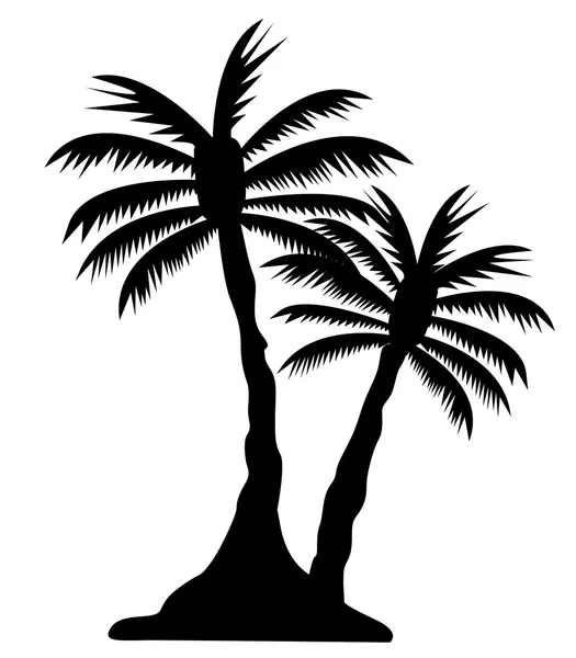 Palmiye ağacı görüntü — Stok fotoğraf
