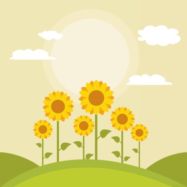 Ayçiçeği vektör illüstrasyon tasarımı