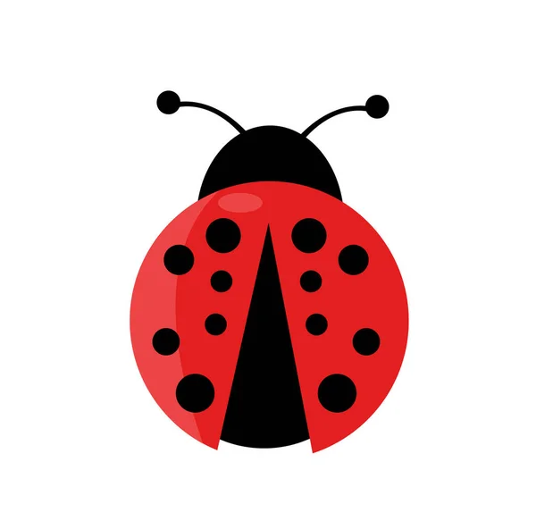 Σχεδιασμός Εικονογράφησης Διανύσματος Ladybug — Διανυσματικό Αρχείο