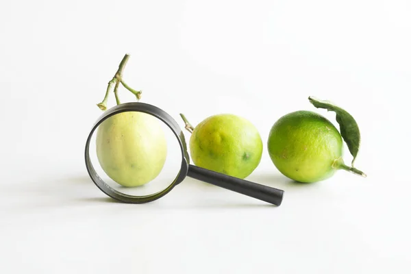Vergrootglas Verse Limoenen Onderzoek Van Kwaliteit Studie Van Heilzame Eigenschappen — Stockfoto