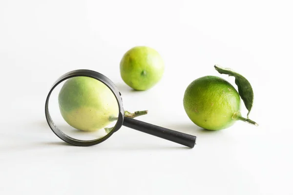 Vergrootglas Drie Verse Limoenen Onderzoek Van Kwaliteit Van Citrusvruchten Controleren — Stockfoto