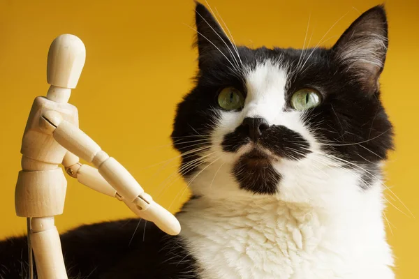 面白い猫とおもちゃの男 黄色の背景 ペットと人間の相互作用の概念 猫の目を通して所有者 選択的集中 — ストック写真