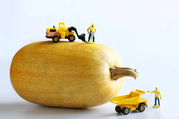 Toy man workers, a dump truck and a forklift truck harvest a giant vegetable marrow. A playful concept for harvesting in a miniature toy world. White background. Close-up