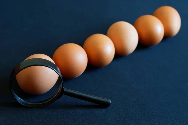Μεγεθυντικό Και Καφέ Αυγά Κοτόπουλου Μαύρο Φόντο Έννοια Της Διαλογής — Φωτογραφία Αρχείου