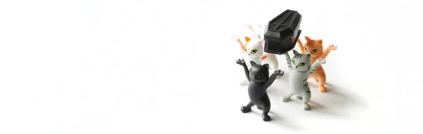 Funny Toy Kittens Carry Black Coffin Cross Concept Funeral Procession — Stock Photo, Image